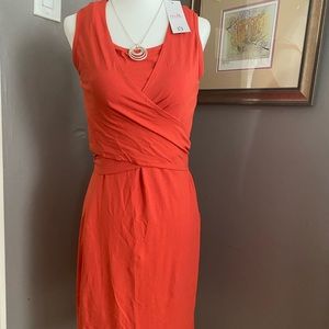 Milk Nursing Dress